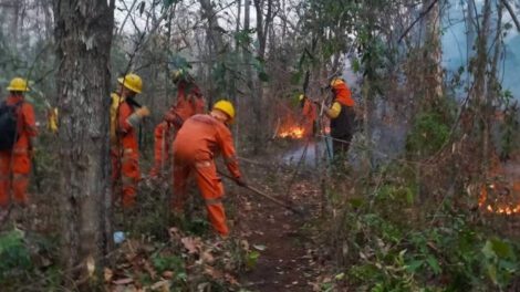 Incendios forestales en Bolivia