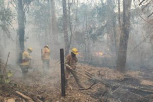 Pueblos indígenas en peligro por incendios forestales en Bolivia