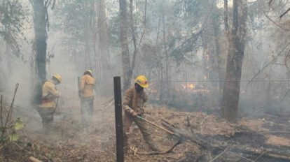 Pueblos indígenas en peligro por incendios forestales en Bolivia