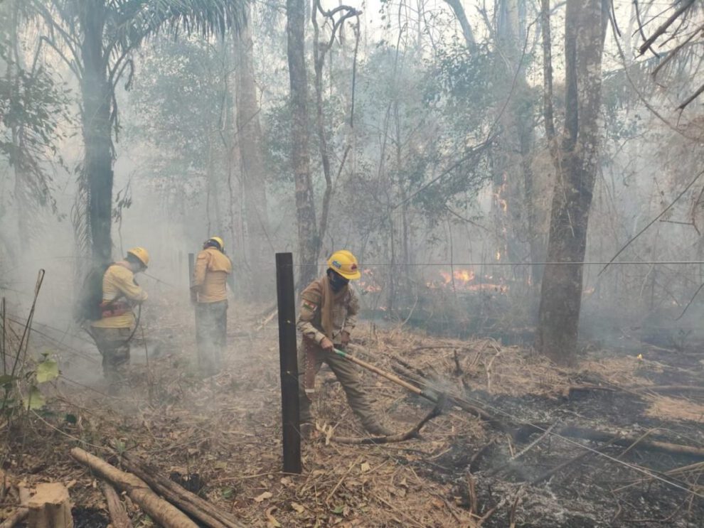 Pueblos indígenas en peligro por incendios forestales en Bolivia