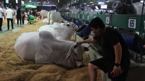 Expocruz 2024: la feria empresarial que impulsa el desarrollo en Bolivia