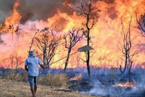 Incendios en Monte Verde amenazan vidas y hogares