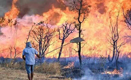 Incendios en Monte Verde amenazan vidas y hogares