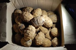 Explosivos encontrados en la Terminal de La Paz