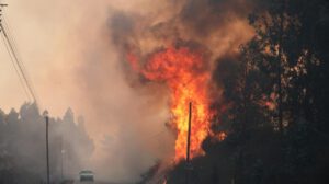 Incendios forestales en Portugal