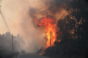 Incendios forestales en Portugal