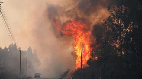 Incendios forestales en Portugal