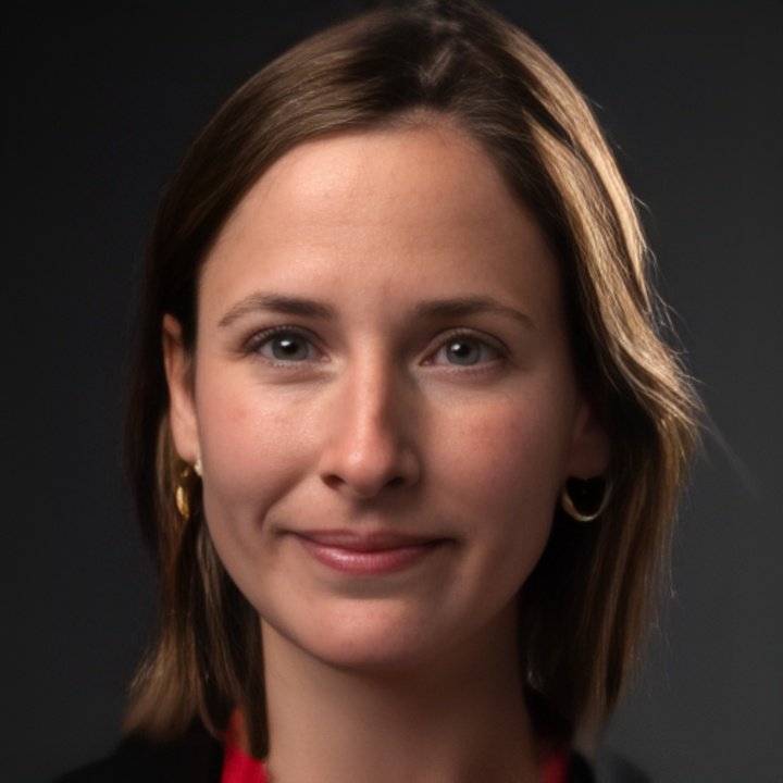 Inteligencia artificial y democracia en Latinoamérica