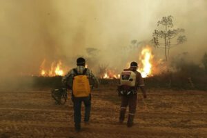 Crisis ambiental por incendios en Sudamérica