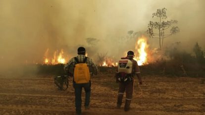 Crisis ambiental por incendios en Sudamérica