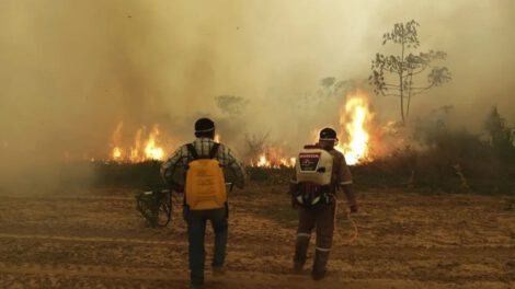 Crisis ambiental por incendios en Sudamérica