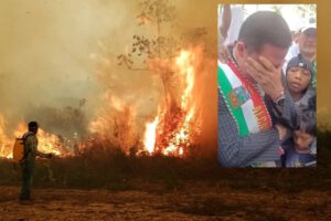 incendios en Santa Cruz