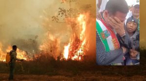 incendios en Santa Cruz