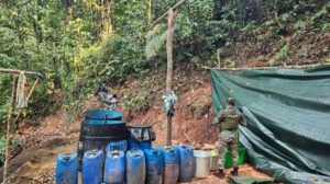 Felcn desmantela fábricas de cocaína en Villa Tunari