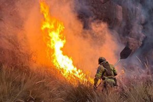 Falta de recursos para incendios en Bolivia