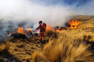 Crisis en la Amazonía por incendios y sequía