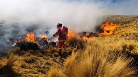 Crisis en la Amazonía por incendios y sequía