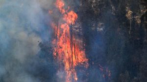 Quito emergencia incendios forestales