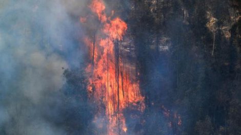 Quito emergencia incendios forestales