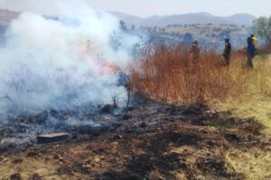 Incendios forestales en Bolivia y su impacto en la salud pública