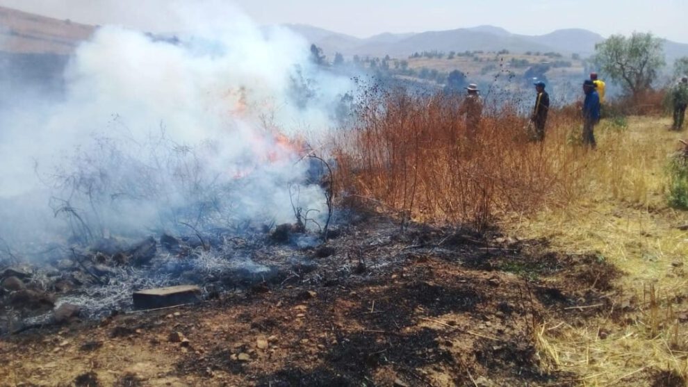 Incendios forestales en Bolivia y su impacto en la salud pública