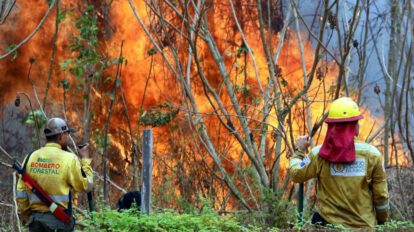 Incendios forestales en Bolivia superan capacidad de respuesta