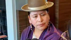 Reelección de Evo Morales según la senadora Virginia Velasco
