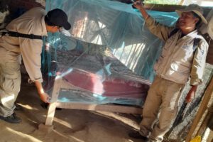 Ejecución de plan contra el dengue en 38 municipios