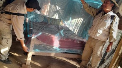 Ejecución de plan contra el dengue en 38 municipios