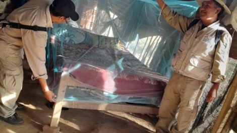 Ejecución de plan contra el dengue en 38 municipios