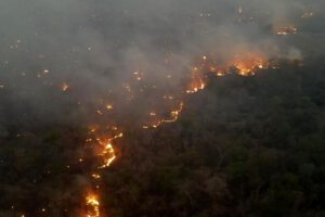 Incendios forestales en Santa Cruz
