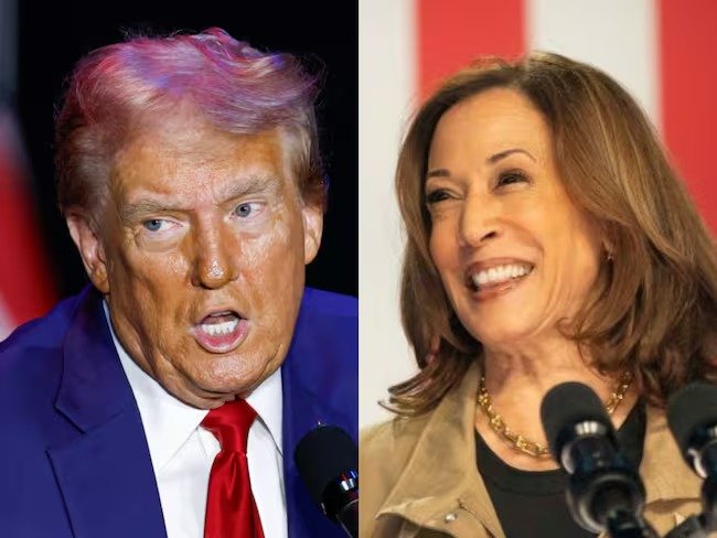 Kamala Harris intención de voto latino