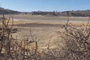 Crisis hídrica impacta la producción agrícola en el Cono Sur