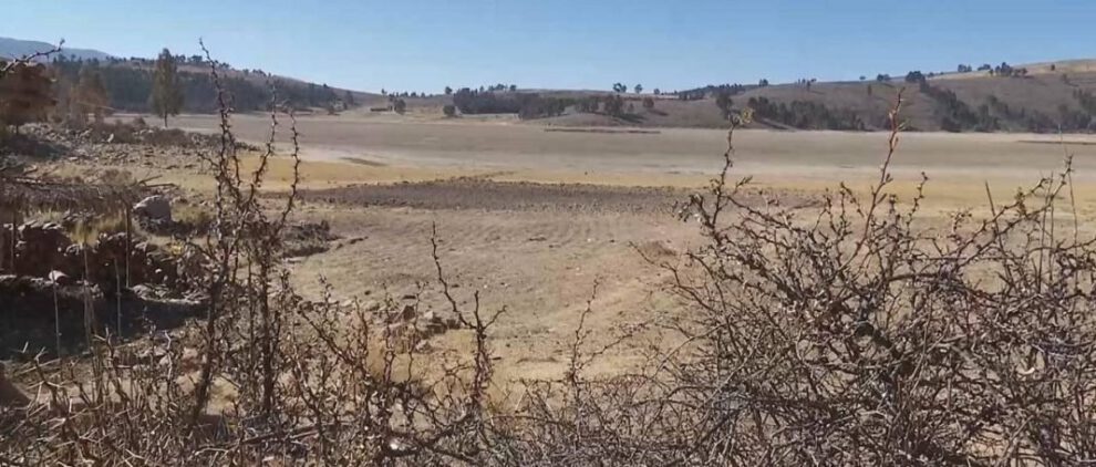 Crisis hídrica impacta la producción agrícola en el Cono Sur