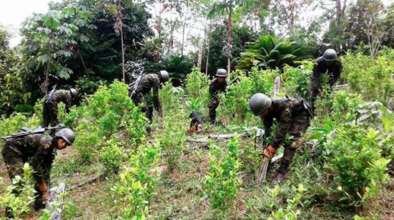 Erradicación de cultivos de coca en Bolivia