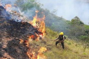 Incendios forestales en Bolivia