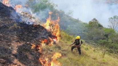 Incendios forestales en Bolivia