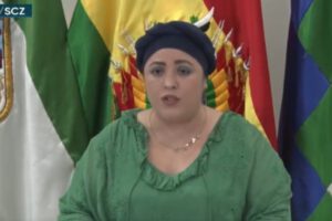 Gobierno defiende gestión ante desastre nacional por incendios forestales