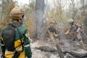 Gobierno saca dinero de donde no hay para combatir incendios