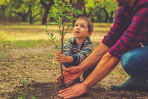 Día del Árbol en Bolivia, un recordatorio de responsabilidad y esperanza