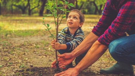 Día del Árbol en Bolivia, un recordatorio de responsabilidad y esperanza