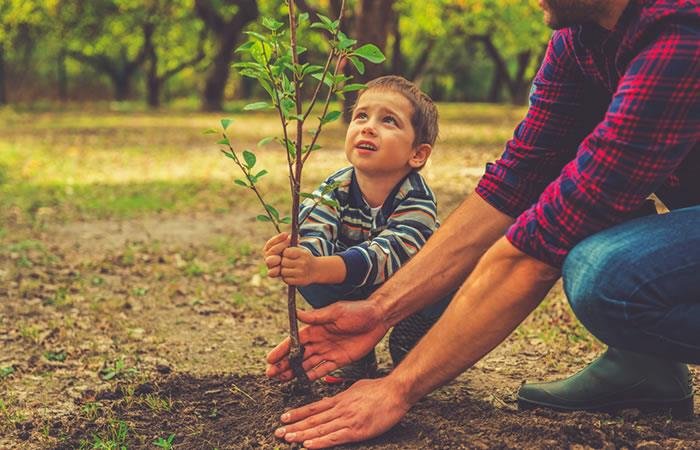 Día del Árbol en Bolivia, un recordatorio de responsabilidad y esperanza