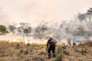 Crisis ambiental en Bolivia con 4 millones de hectáreas quemadas
