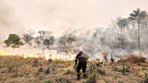 Crisis ambiental en Bolivia