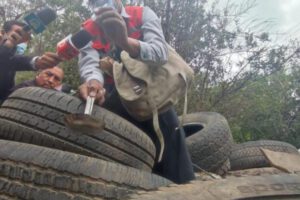 Campaña contra el dengue en Cochabamba