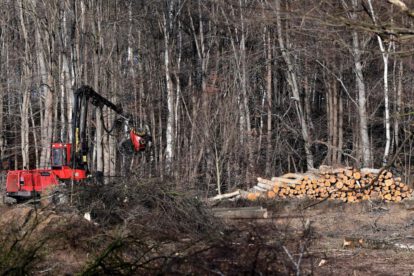 Ley contra la deforestación en la Unión Europea