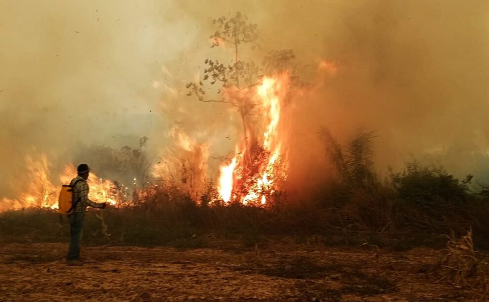 El Gobierno asegura que no escatimará recursos en la lucha contra los incendios forestales