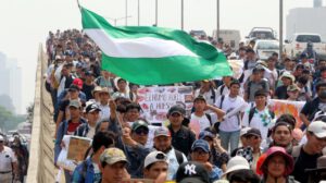 Consulta popular por incendios forestales en Bolivia