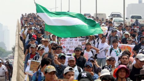 Consulta popular por incendios forestales en Bolivia