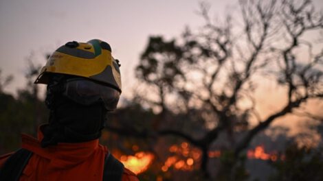 Deforestación en la Amazonía brasileña